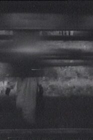 The Sparrow 1995 on netflix