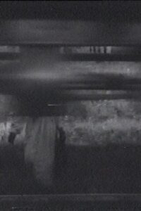 The Sparrow 1995 on netflix