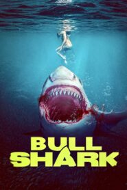 Bull Shark 2022 on netflix