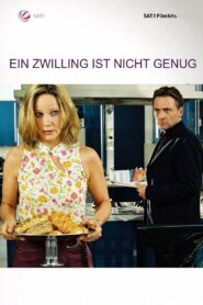 Ein Zwilling ist nicht genug 2004 on netflix