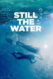 Still the Water 2014 on netflix