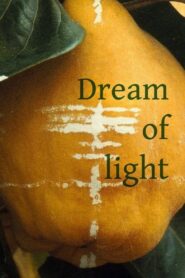 Dream of Light 1992 on netflix