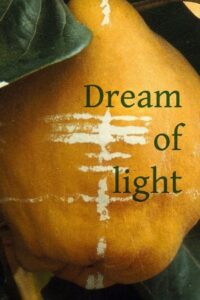 Dream of Light 1992 on netflix
