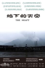 The Shaft 2008 on netflix