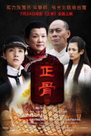 Chinese Look 2013 on netflix