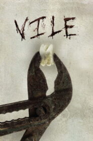 Vile 2011 on netflix