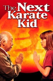 The Next Karate Kid 1994 on netflix