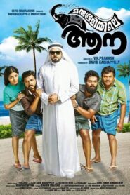 Marubhoomiyile Aana 2016 on netflix