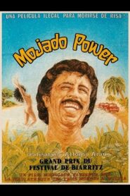 Mojado Power 1981 on netflix