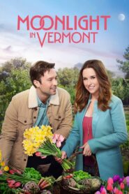 Moonlight in Vermont 2017 on netflix