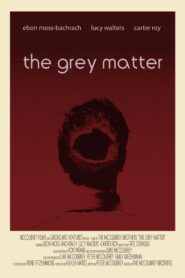 The Grey Matter 2014 on netflix