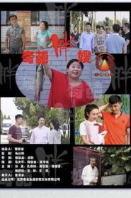 奇葩胖嫂 2020 on netflix