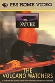 The Volcano Watchers 1987 on netflix