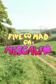 Five Go Mad on Mescalin 1983 on netflix