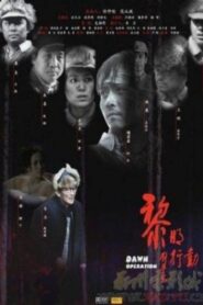 Dawn Operation 2008 on netflix