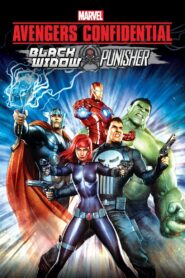 Avengers Confidential: Black Widow & Punisher 2014 on netflix