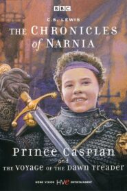 The Chronicles of Narnia: Prince Caspian & The Voyage of the Dawn Treader 1989 on netflix