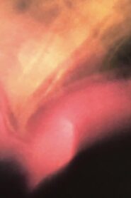 Une étoile de tissu 1990 on netflix