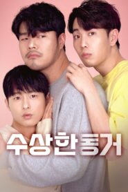 Secret Roommate 2020 on netflix
