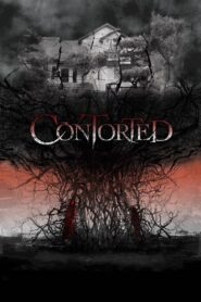 Contorted 2022 on netflix