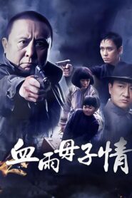 血雨母子情 2012 on netflix
