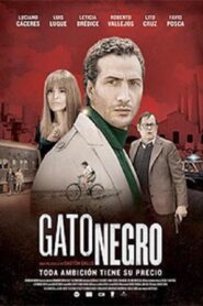 Gato negro 2014 on netflix