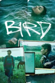 Bird 2024 on netflix