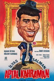 Aptal Kahraman 1983 on netflix