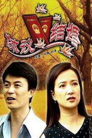 协议结婚 2006 on netflix