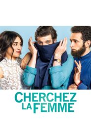 Some Like It Veiled 2017 on netflix