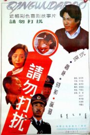 请勿打扰 1992 on netflix