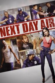 Next Day Air 2009 on netflix