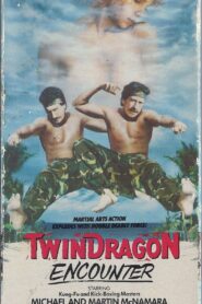 Twin Dragon Encounter 1986 on netflix