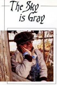 The Sky Is Gray 1980 on netflix
