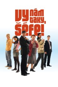 Vy nám taky, šéfe! 2008 on netflix