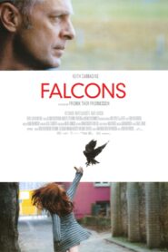 Falcons 2002 on netflix