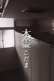 Kodama 1998 on netflix