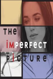 The Imperfect Picture 2021 on netflix