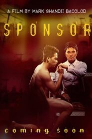 Sponsor 2011 on netflix
