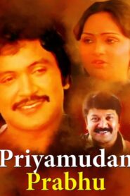 Priyamudan Prabhu 1984 on netflix