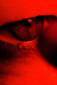Charlotte 2004 on netflix
