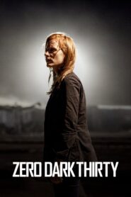 Zero Dark Thirty 2012 on netflix