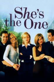 She’s the One 1996 on netflix