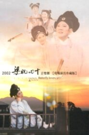 Butterfly Lovers 40 2003 on netflix