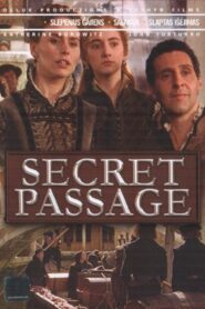 Secret Passage 2004 on netflix