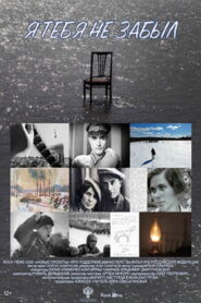 I Did Not Forget You 2018 on netflix