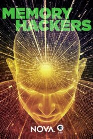 Memory Hackers 2016 on netflix