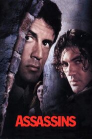 Assassins 1995 on netflix