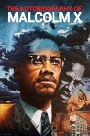The Autobiography of Malcolm X 2001 on netflix