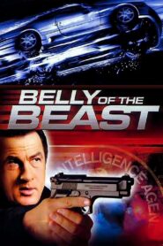 Belly of the Beast 2003 on netflix
